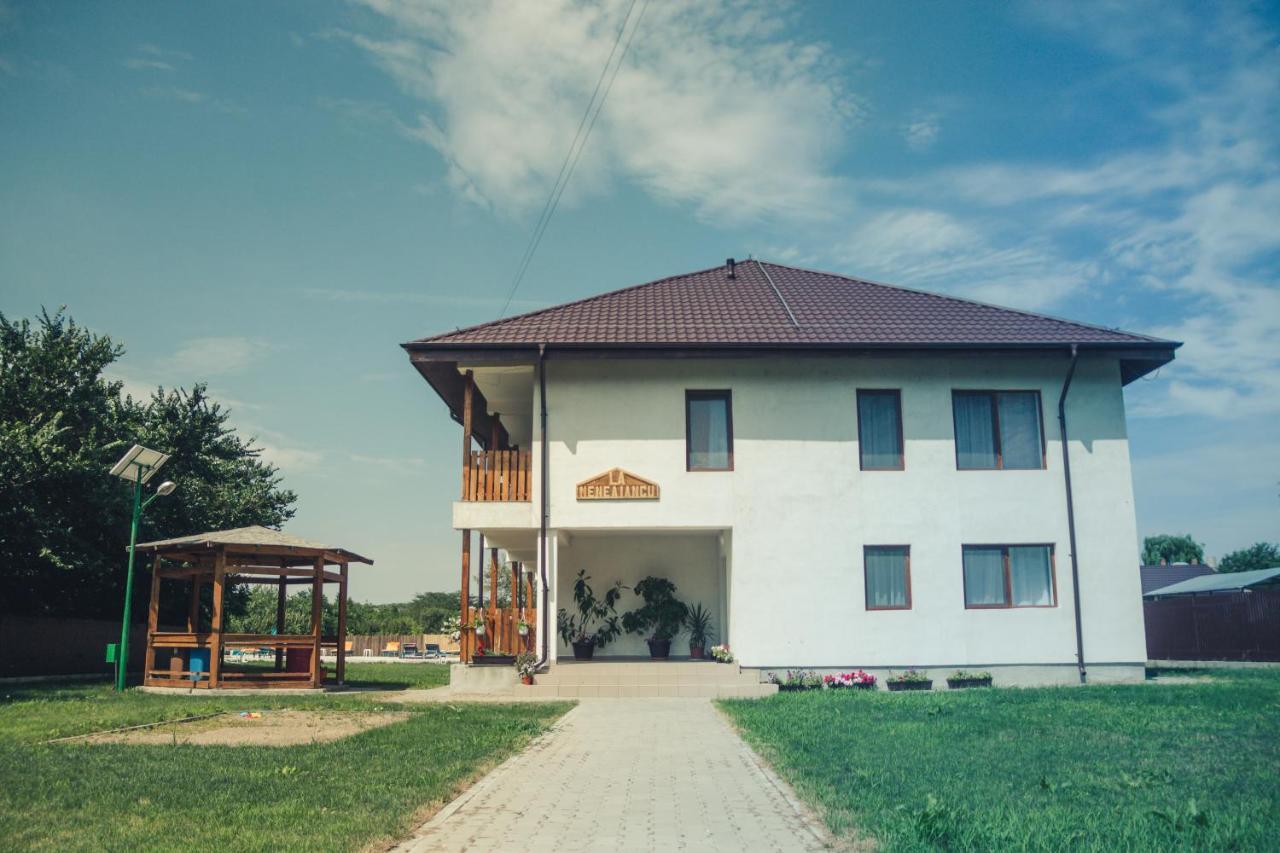 Pensiunea La Nenea Iancu Greci Exterior photo