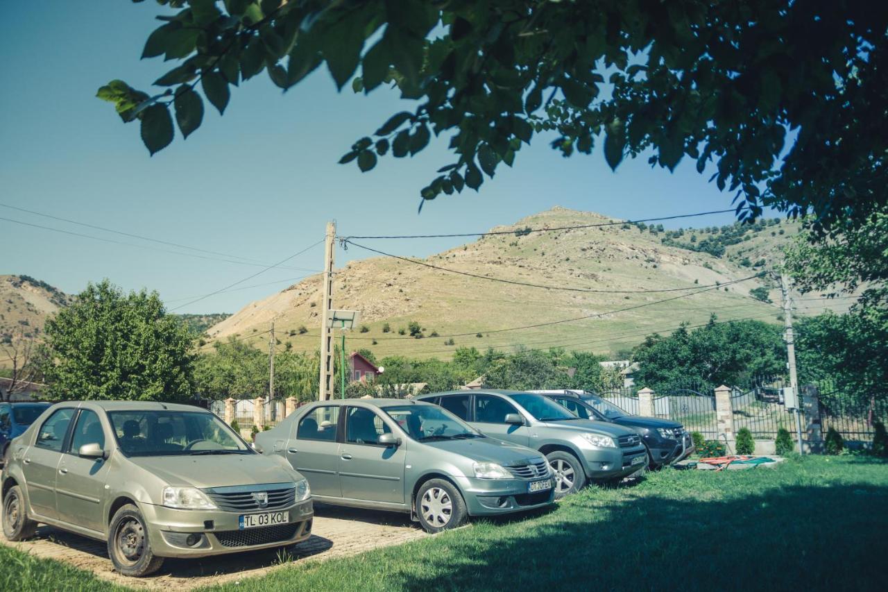 Pensiunea La Nenea Iancu Greci Exterior photo